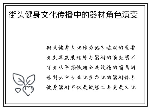 街头健身文化传播中的器材角色演变